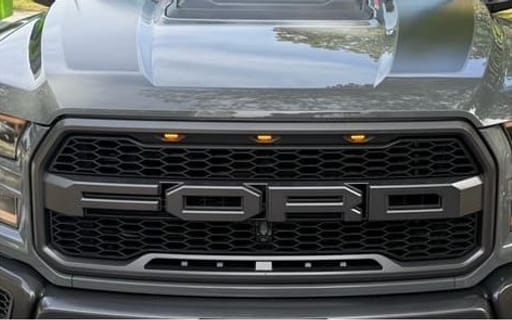 Ford Raptor grille after a Sudz detail